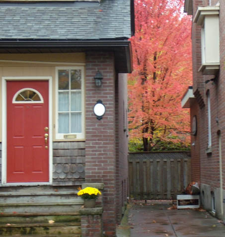 Opening the Window: Giving Thanks by Diana Autumn