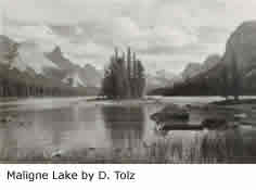 The Spiritual Revolution: Bringing Meaning to Life